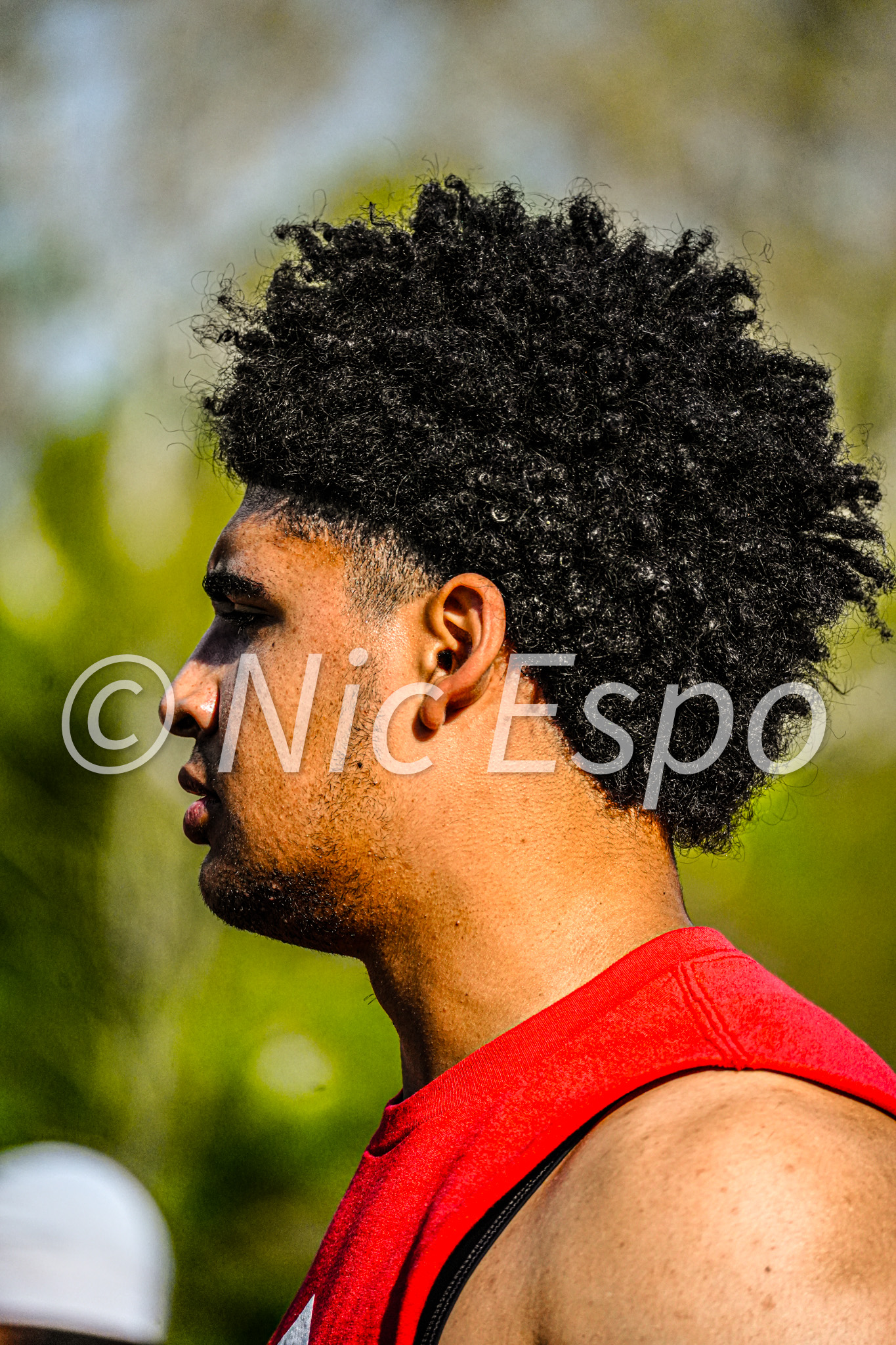majeed — W557 - Majeed